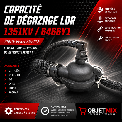 Capacité de Dégazage LDR 1351KV / 6466Y1 – Citroën Peugeot DS Opel Ford Jaguar